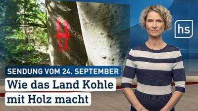 hessenschau: Wie das Land Kohle mit Holz macht hessenschau vom 24.09.2025 hessenschau: Wie das Land Kohle mit Holz macht hessenschau vom 24.09.2025