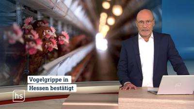 hessenschau hessenschau