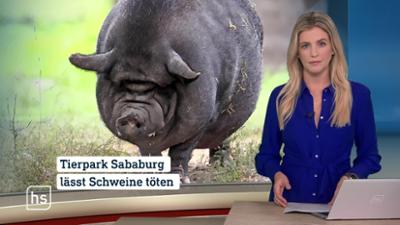 hessenschau
