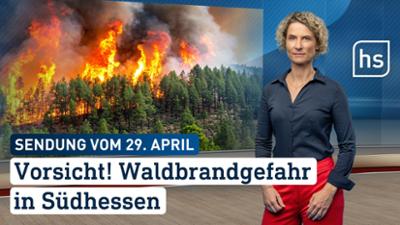 hessenschau: Vorsicht! Waldbrandgefahr in Südhessen hessenschau vom 29.04.2026