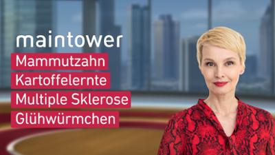 maintower