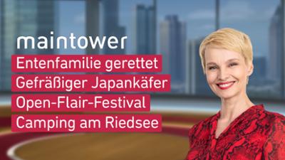 maintower maintower