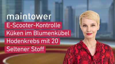 maintower maintower