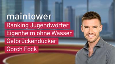 maintower maintower