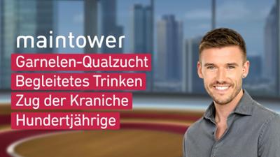 maintower maintower