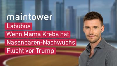 maintower maintower