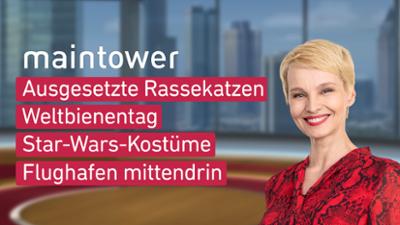 maintower