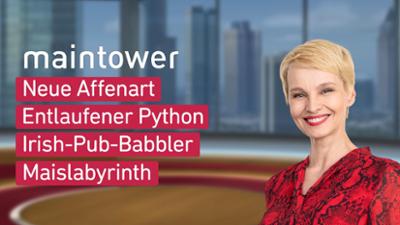 maintower
