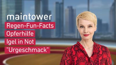 maintower