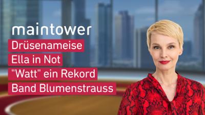 maintower