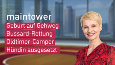 maintower maintower