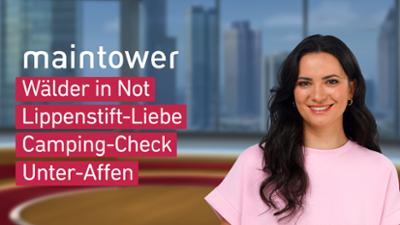 maintower
