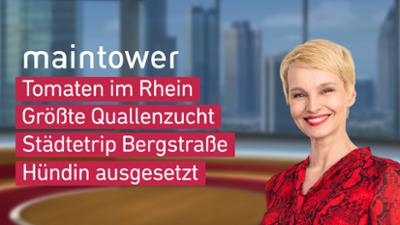 maintower