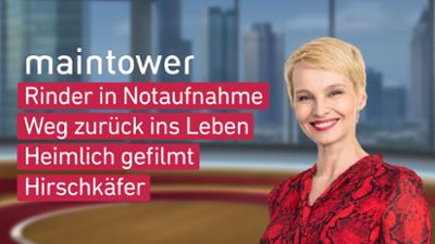 maintower weekend