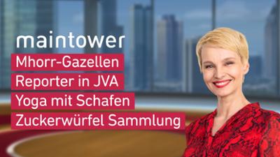 maintower weekend