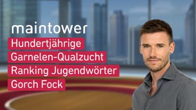 maintower weekend