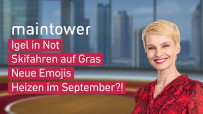 maintower weekend