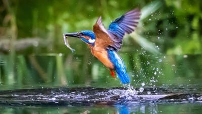 Naturerlebnis Franken