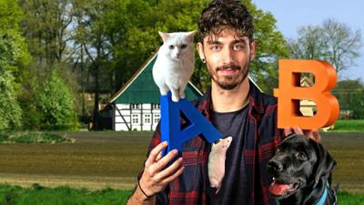 Sehen statt Hören: Jason bei Gespenstschrecken und Farbratten Sehen statt Hören: Jason bei Gespenstschrecken und Farbratten