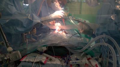 Sehen statt Hören: Leben retten · Organspende