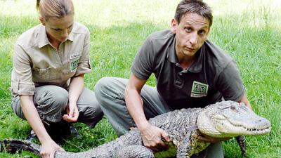 Tierärztin Dr. Mertens: Folge 16: Der Kuss des Krokodils (S02/E03)