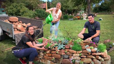 Tipps für trockene Sommergärten und Balkone