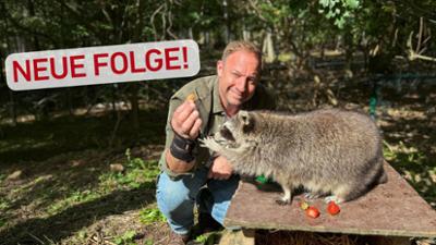 Tobis Urlaubstrip: Naturpark Knüll