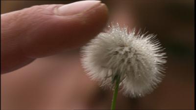 Totally Phenomenal: The Sense of Touch · Totally Phenomenal