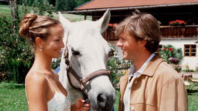 Utta Danella: Die Hochzeit auf dem Lande