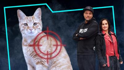 Verurteilt! Echte Kriminalfälle im Gespräch: Der Katzen-Sniper (37)