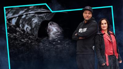 Verurteilt! Echte Kriminalfälle im Gespräch: Zwei Leichen in Südfrankreich (31)