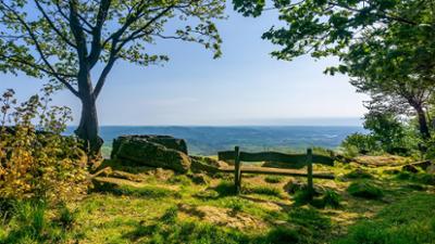 Wandern auf dem Grimmsteig