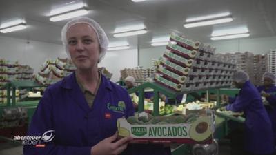 Abenteuer Leben: Supermarkt-Geheimnisse: Avocado, Gorgonzola & Co.