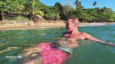 Abenteuer Leben: Traumurlaub im Vergleich: Florida oder Puerto Rico?