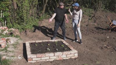 Abenteuer Leben: DIY Dauerbeet: Ein Gartenprojekt mit Bestand