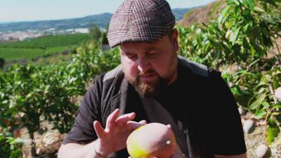 Abenteuer Leben: Mango-Paradies an der Costa del Sol