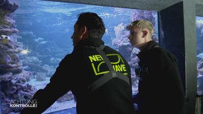 Achtung Kontrolle: Neue Scheibe für Aquarium im Duisburger Zoo