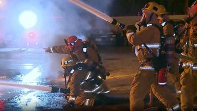 Alarmstufe L.A. - Die Ersten am Einsatzort: Leichtsinnige Sprünge und diebische Bären