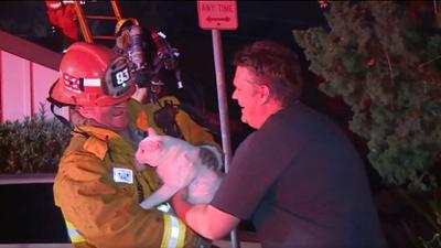 Alarmstufe L.A. - Die Ersten am Einsatzort: Staffel 1 Folge 7 Nackte Tatsachen