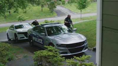 American Detective: Staffel 1 Folge 10 Die Elster