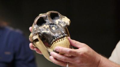 Auf den Spuren des Unerklärlichen - The Proof is Out There: Staffel 3 Folge 2 Bigfoot erlegt