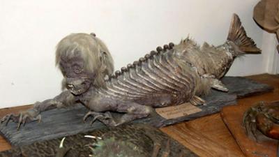 Auf den Spuren des Unerklärlichen - The Proof is Out There: Staffel 3 Folge 20 Tote Meerjungfrau