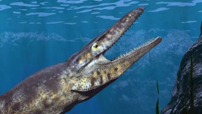 Auf den Spuren des Unerklärlichen - The Proof is Out There: Staffel 3 Folge 8 Das Seemonster