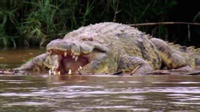 Auf den Spuren des Unerklärlichen - The Proof is Out There: Staffel 3 Folge 10 Das Krokodilmonster