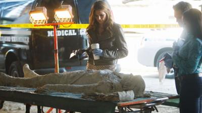 Castle: Staffel 4 Folge 4 Dem Dreifachmörder auf der Spur
