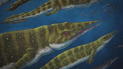 Das Alaska Dreieck: Staffel 2 Folge 3 Das Rätsel der Meeresdinosaurier