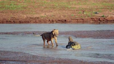 Das Unerklärliche mit William Shatner: Staffel 3 Folge 13 Bestialische Mörder