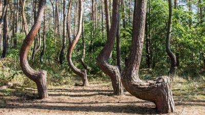 Das Unerklärliche mit William Shatner: Staffel 1 Folge 3 Unnatürlich natürlich