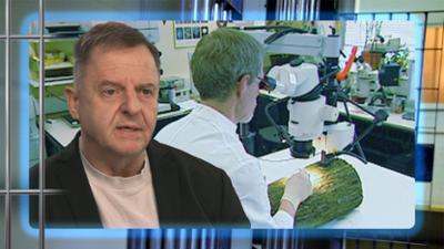 Deutschlands spektakulärste Kriminalfälle: Staffel 3 Folge 2 Holzklotz-Mord auf der Autobahn