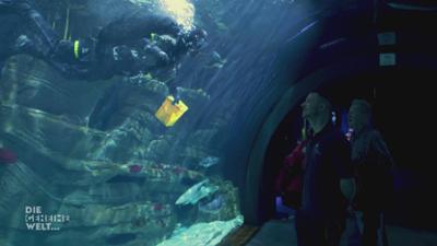 Die geheime Welt ...: unserer Zoos Die geheime Welt ...: unserer Zoos